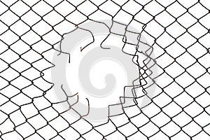 Center hole in the mesh wire fence