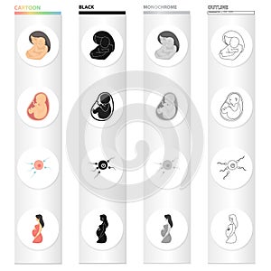 Center, hospital, prevention and other web icon in cartoon style. Belly, gyn, ecology, icons in set collection.