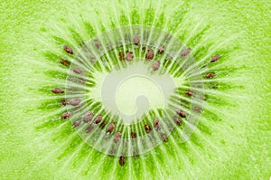 Center Kiwi fruit