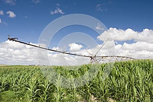 A center modern pivot irrigation system