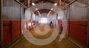 Center Path Through Horse Paddock Equestrian Ranch Stable