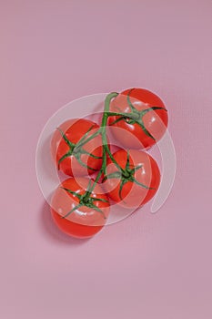 In the center on a pink background are four tomatoes on a branch