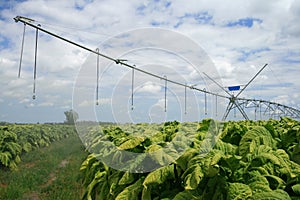 Center Pivot photo