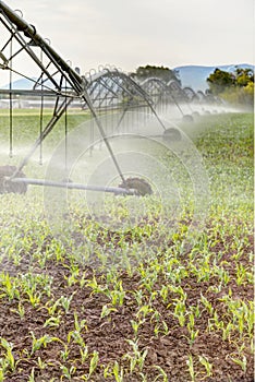 A center pivot agricultural irrigation system.