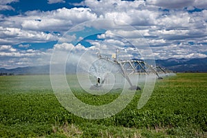 Center pivot agricultural irrigation system