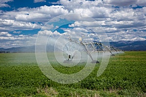 Center pivot agricultural irrigation system photo