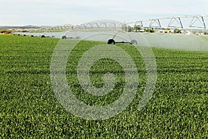 A center pivot agricultural irrigation system in an Idaho potato field