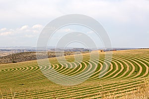 Center pivot irrigated farm