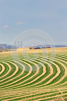 Center pivot irrigated farm field