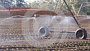 Center pivot irrigation-2