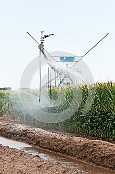 Center pivot irrigation of a cornfield in rural Colorado