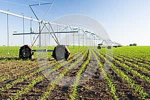 Center pivot irrigation system photo