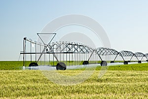 Center pivot irrigation system photo