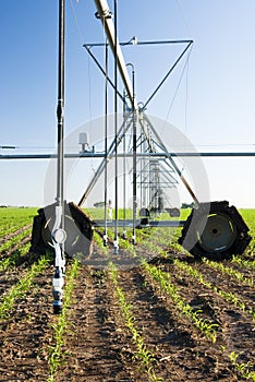 Center pivot irrigation system photo