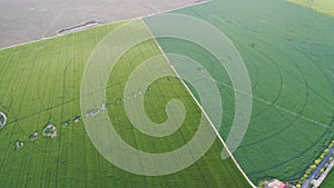 Center pivot irrigation system in  Aerial view.
