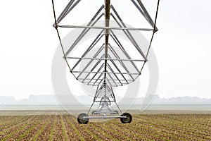 Center pivot irrigation system in a corn field by a misty morning