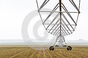 Center pivot irrigation system in a corn field by a misty morning