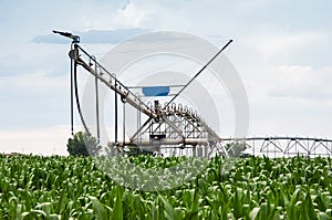 Center Pivot Irrigation System in Cornfield