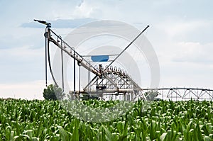 Center Pivot Irrigation System in Cornfield photo