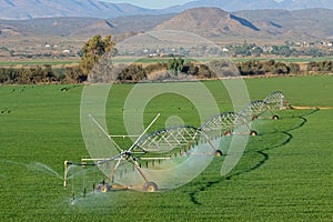 Center pivot irrigation system - South Africa photo