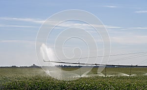 Center-Pivot Irrigation System Sprays Water Over a Field of Corn