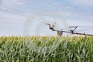 Center pivot irrigation system watering corn crop during summer