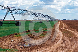 Center pivot irrigation system in wheat field