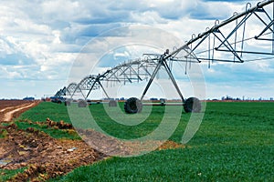 Center pivot irrigation system in wheat field