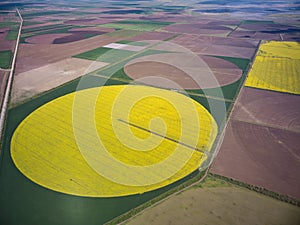 Center pivot irrigation system on a yellow rapeseed field aerial view