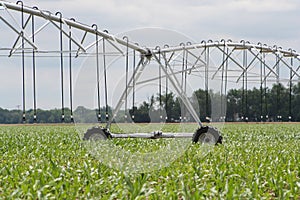 Center pivot irrigation well