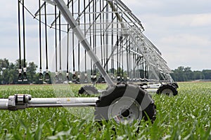 Center pivot irrigation well