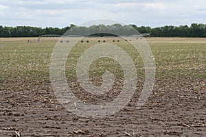 Center pivot irrigation well