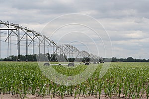 Center pivot irrigation well photo