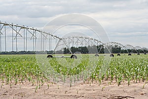 Center pivot irrigation well