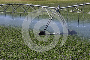 Center-pivot Sprinkler Spray Irrigation