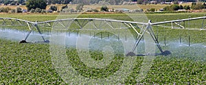 Center-pivot Sprinkler Spray Irrigation