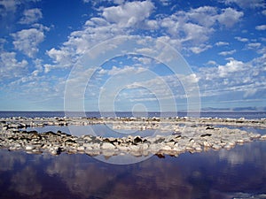 Center of the Spiral Jetty photo