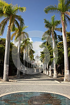 The center of the town with palm lined streets & the Court house at the far end, Philipsburg, St Maarten, Caribbean