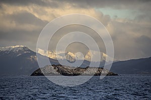 Centered photo of a little desertic island with sea animals and snowed Andes mountains with sunlight in the background