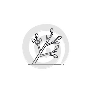 Is centered on a plain white background emphasizing the clean and