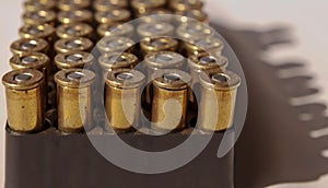 Centerfire .44 magnum bullets lined up in their case