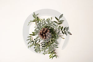 Centerpiece for Christmas, natural elements, green bush and pinecone