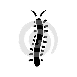 Centipede  icon or logo isolated sign symbol vector illustration