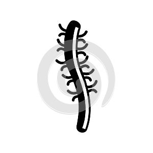 Centipede  icon or logo isolated sign symbol vector illustration