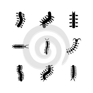 Centipede  icon or logo isolated sign symbol vector illustration