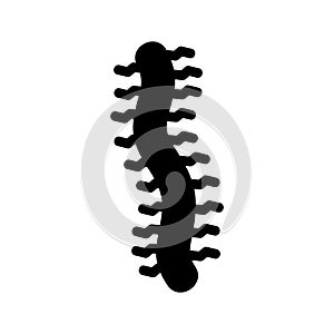 centipede  icon or logo isolated sign symbol vector illustration