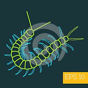 Centipede insect outline