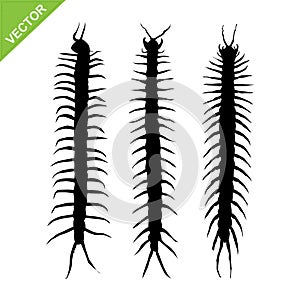 Centipede silhouettes vector