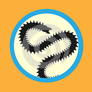 Centipede Worm