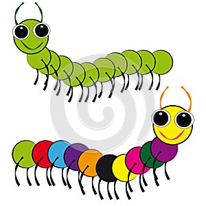 Centipedes on white background